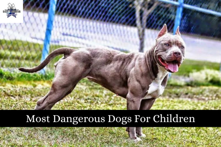 Most Dangerous Dogs For Children